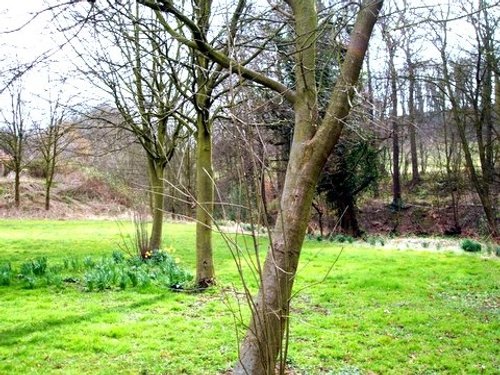 Maltby Beck, (near Rotherham ) South Yorkshire, winding its way to Roche Abbey and beyond.