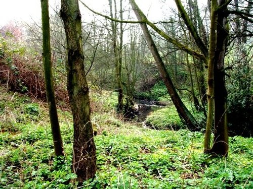 Maltby Beck, (near Rotherham ) South Yorkshire, winding its way to Roche Abbey and beyond.