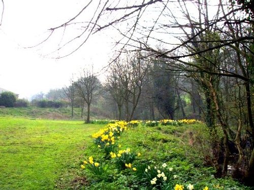 Maltby Beck, (near Rotherham ) South Yorkshire, winding its way to Roche Abbey and beyond.