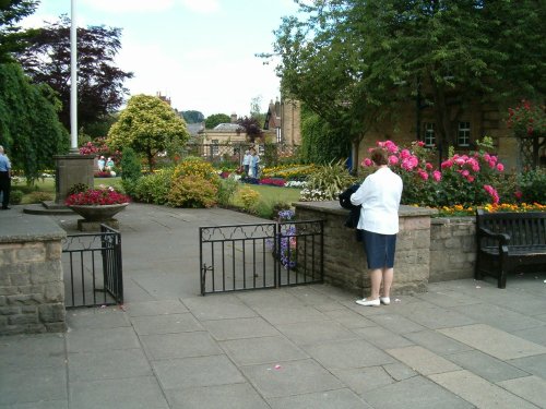 Flowers in Bakewell, Derbyshire