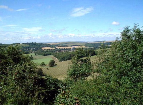 A picture of Cissbury Ring