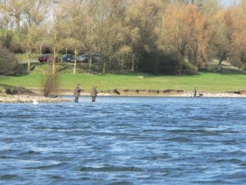 Draycote Water in April