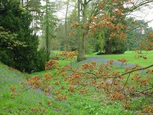 Colour. Wakehurst Place in West Sussex