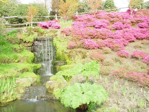 Waterfalls. Wakehurst Place