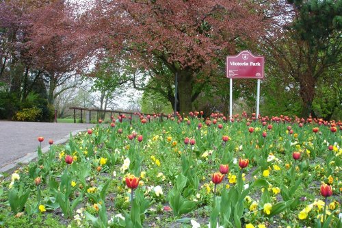 Victoria Park, Ilkeston, Derbyshire