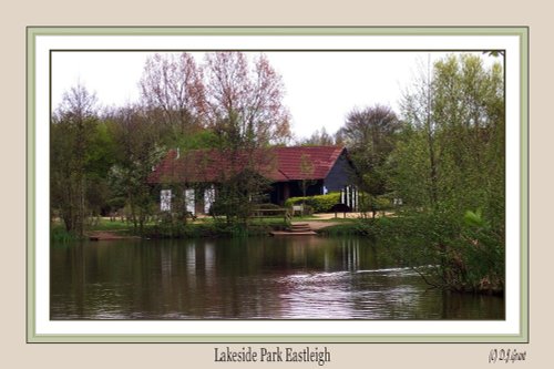 The picnic area from across the water.