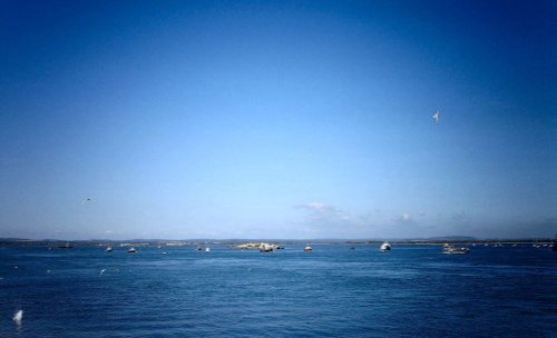 Langstone Harbour.

Taken:  5th May 2006