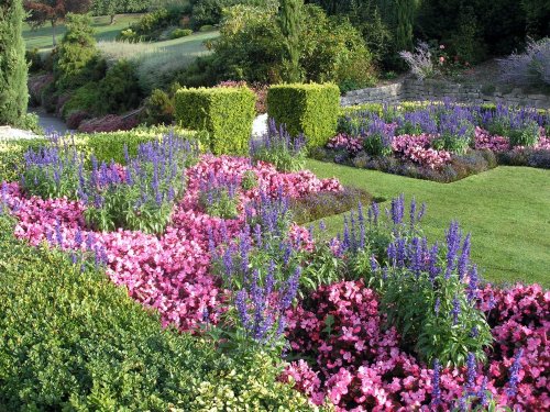 A photo of a garden in Tunbridge Wells, Kent.