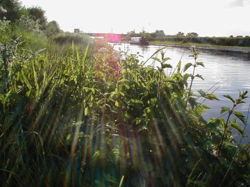 Trent and mersey canal, Alrewas, Staffordshire.