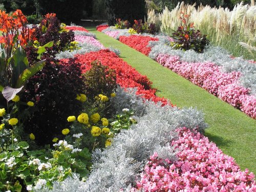 A garden in Lewes, E.Sussex.  Sept. 2005