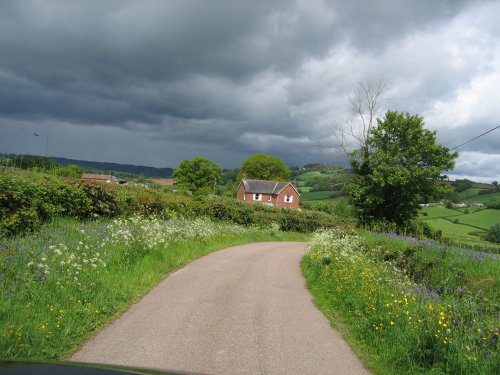 Dalwood, Devon. Extremely narrow & very pretty country lanes near to the village.