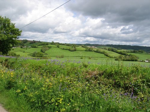 Devon countryside from the country lanes near Dalwood, Devon