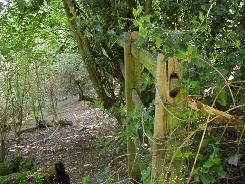 Hartshill Hayes Country Park, Nr Atherstone, North Warwickshire.