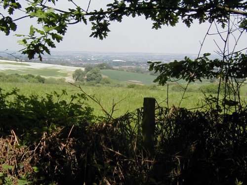 Hartshill Hayes Country Park, Nr Atherstone, North Warwickshire.