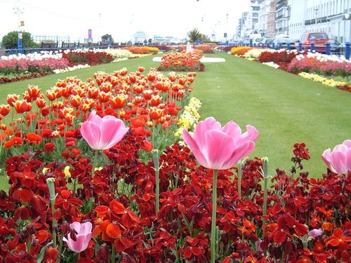 Eastbourne, East Sussex