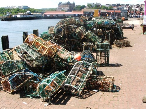 Lobster pots at south bay, Scarborough (05-06-2006)