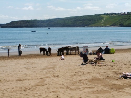 Donkeys on the beach at south bay, Scarborough (05-06-2006)