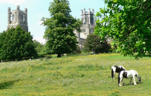 A peaceful scene across the fields to Ely Cathedral.