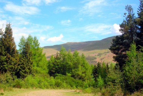 Walking trail in the College valley, Cheviot hills, Northumberland.