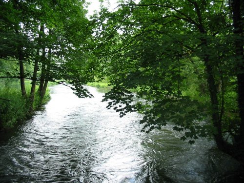 The River Test just north of Romsey.