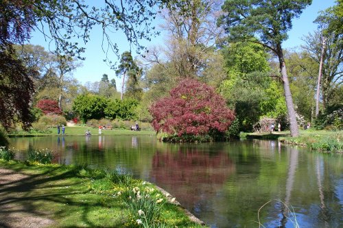 Exbury Gardens, Hampshire