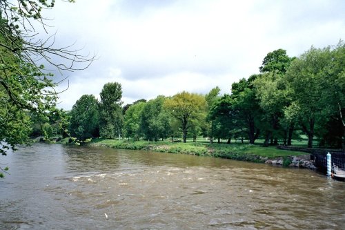 River Taff and Bute Park in Cardiff