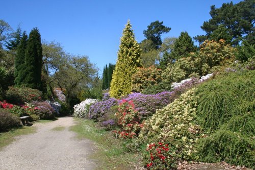 Exbury Gardens, Exbury, Hampshire