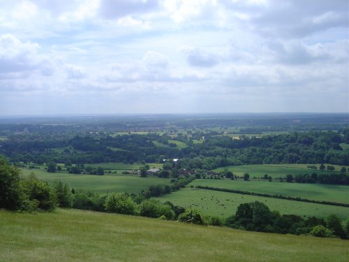 Box Hill View