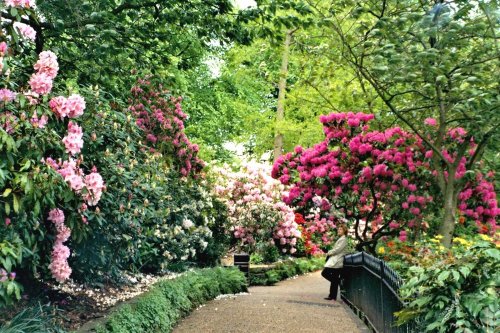 Shrewsbury - Dingle Gardens