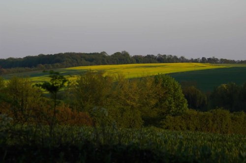 Countryside near Saffron Walden, Essex