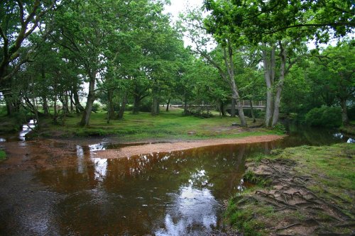 Puttles Bridge, New Forest, Hampshire