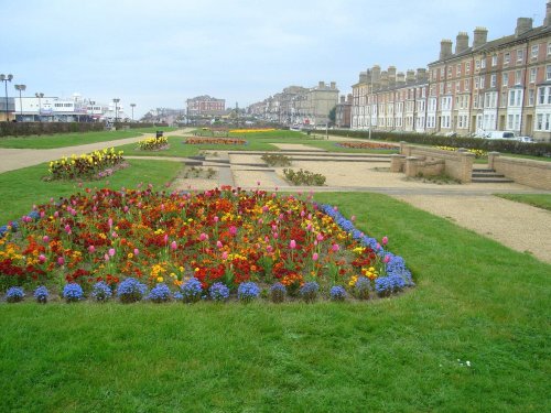 Beautiful Park at the beach..