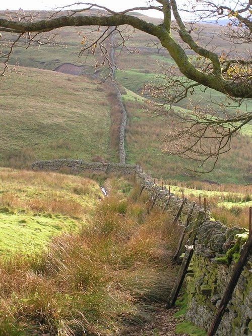 A wall on the walk to the grouse hunting marshes near Allendale, Northumberland