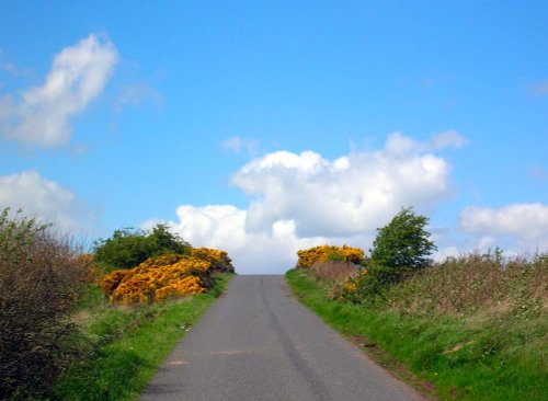 country road near Glanton, Northumberland.