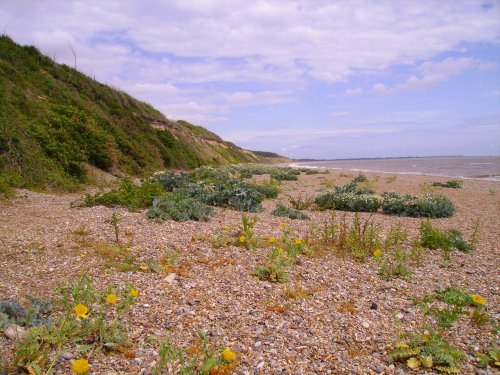 Dunwich, Suffolk
June 2006