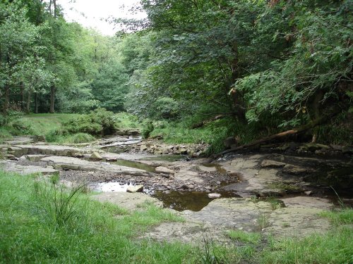 The River through the Woods, Tockholes, Lancashire.