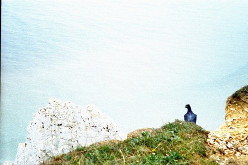 Eastbourne - Beachy Head