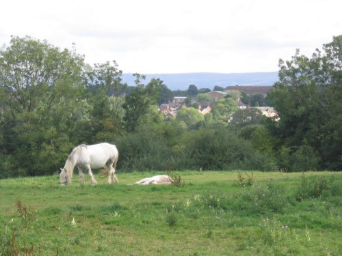 Cuckfield, West Sussex