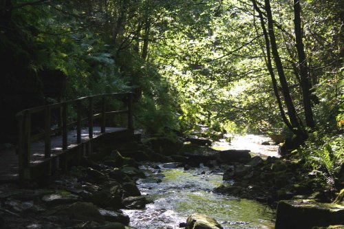 A view by the walkway towards the waterfall @ THORTERGILL FORCE, 
Thortergill in Weardale