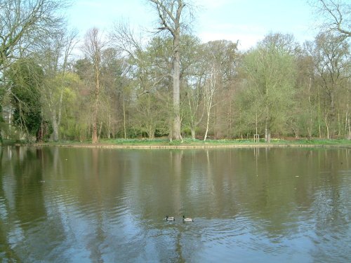 Lake in Bushey Park,
Near Hampton Court, London