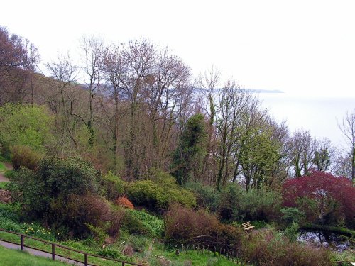 Looe Monkey Sanctuary. April 2005