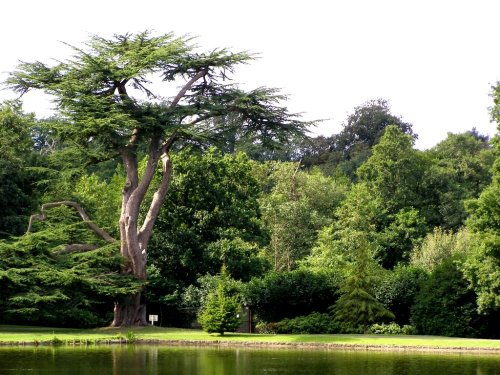 Leeds Castle - Park (Kent)