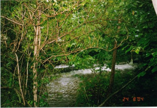 Thornton-le-Dale Duck pond