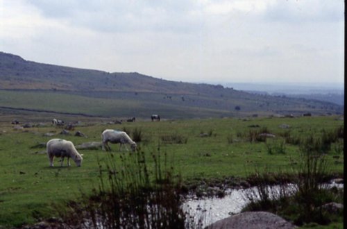 LANDSCAPES IN BODMIN MOOR