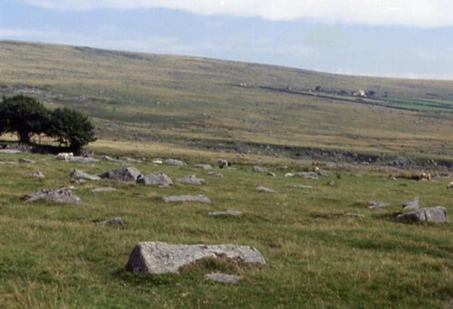 LANDSCAPES IN BODMIN MOOR