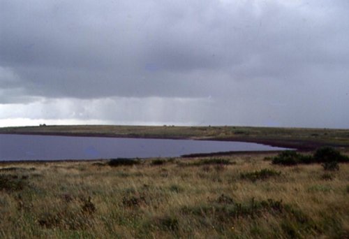 Bodmin Moor