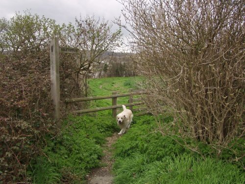 Public right of way by the River Medway in Wouldham, Kent