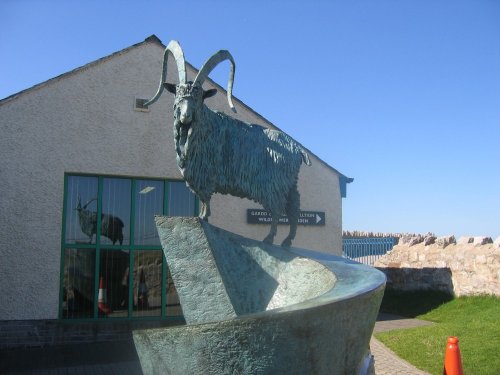 Great Orme, Llandudno, Conwy