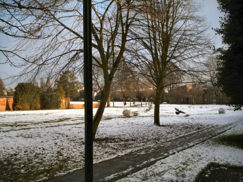 Broadgate park. Beeston, Nottinghamshire