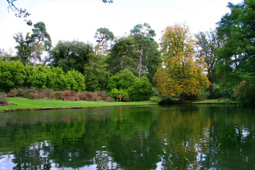 Exbury gardens, Exbury, Hampshire